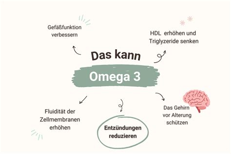 ️ Alles Wichtige zu Omega